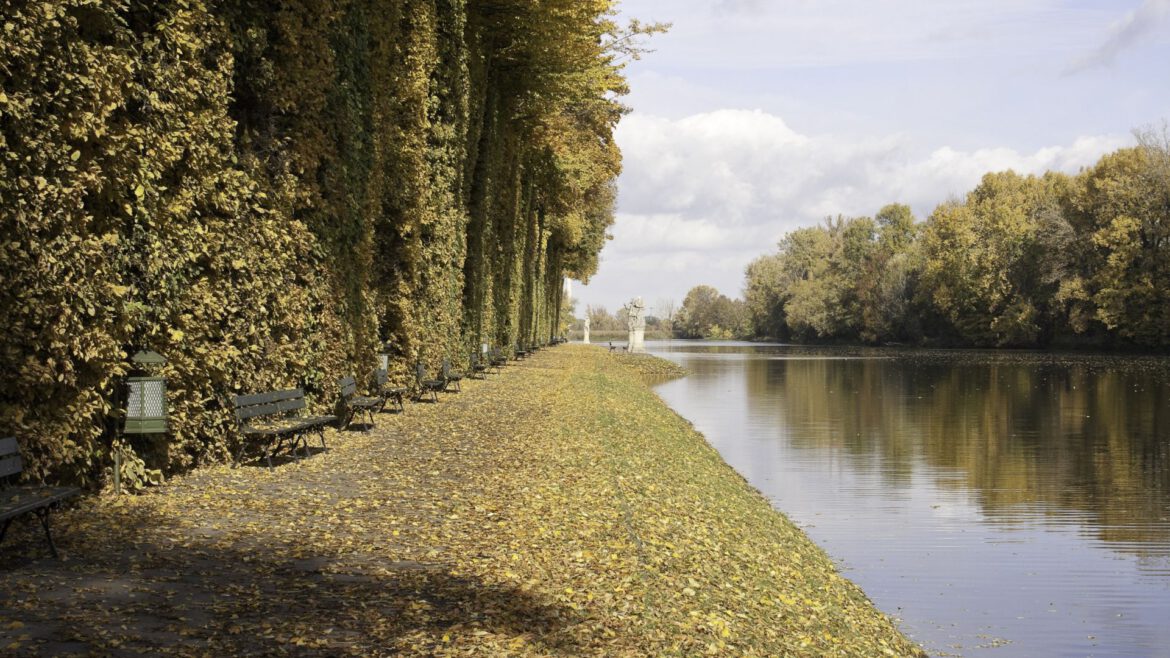 Ogrody Wilanowskie: Pocztówka z natury